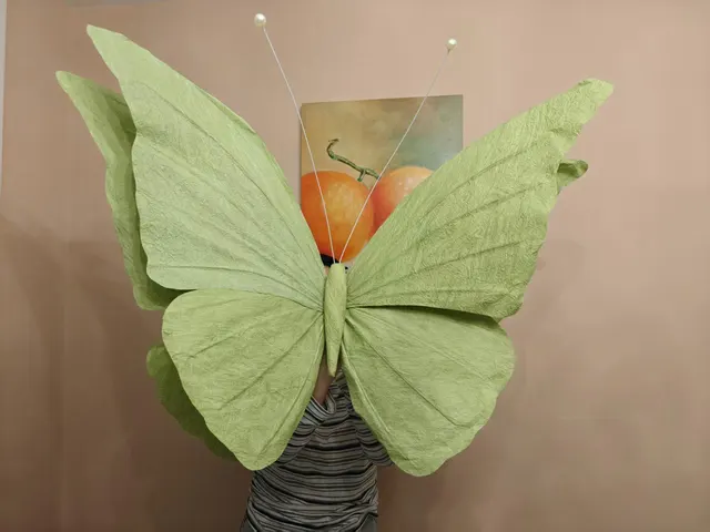 Handmade giant paper flowers and butterfly decor - workshop photo 31
