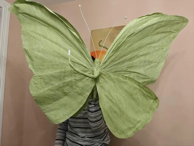 Handmade giant paper flowers and butterfly decor - workshop photo 34