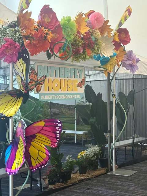 Handmade giant paper flowers and butterfly decor - workshop photo 48